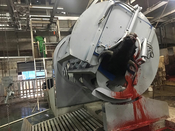 青海裕泰食品有限公司